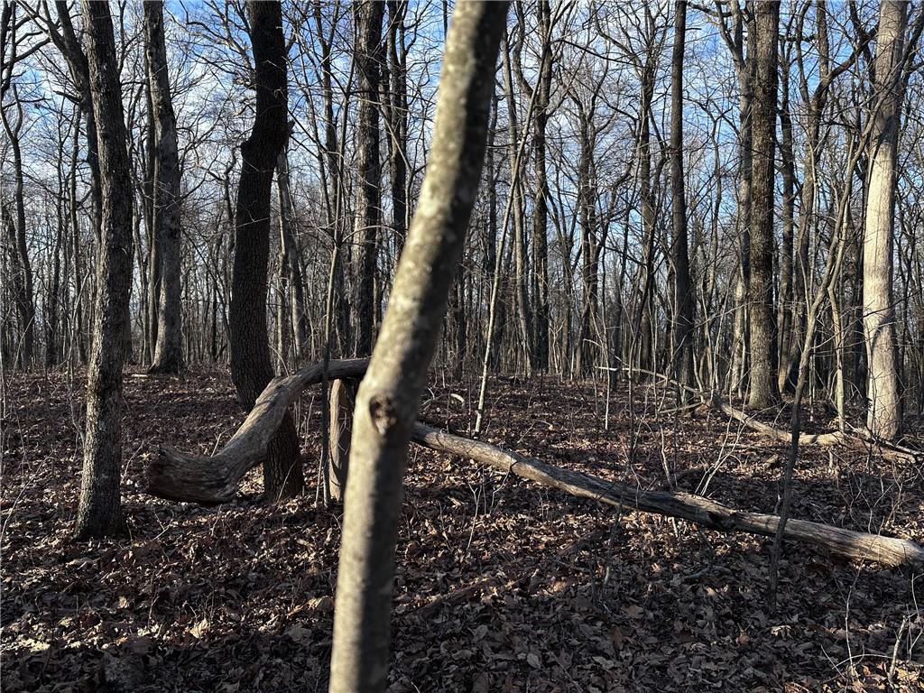 183 St. Andrews Way Ellijay, GA 30536 - Photo 7 of 21 a view of outdoor space with a patio