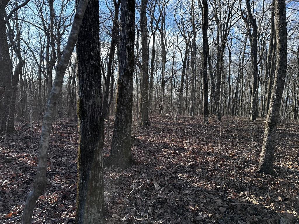 183 St. Andrews Way Ellijay, GA 30536 - Photo 8 of 21 a view of backyard with green space