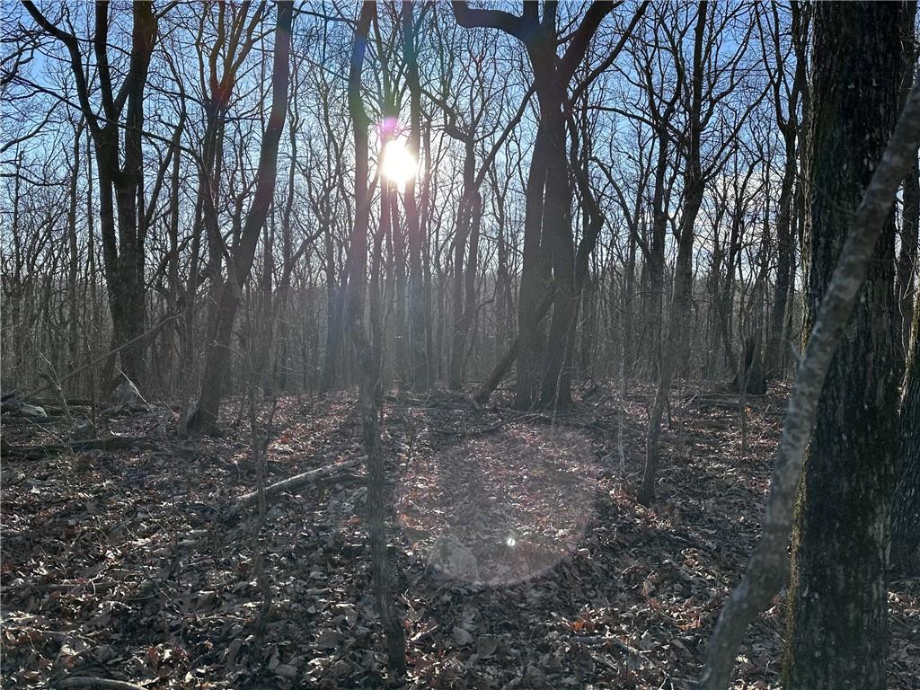 183 St. Andrews Way Ellijay, GA 30536 - Photo 9 of 21 a view of backyard with tree