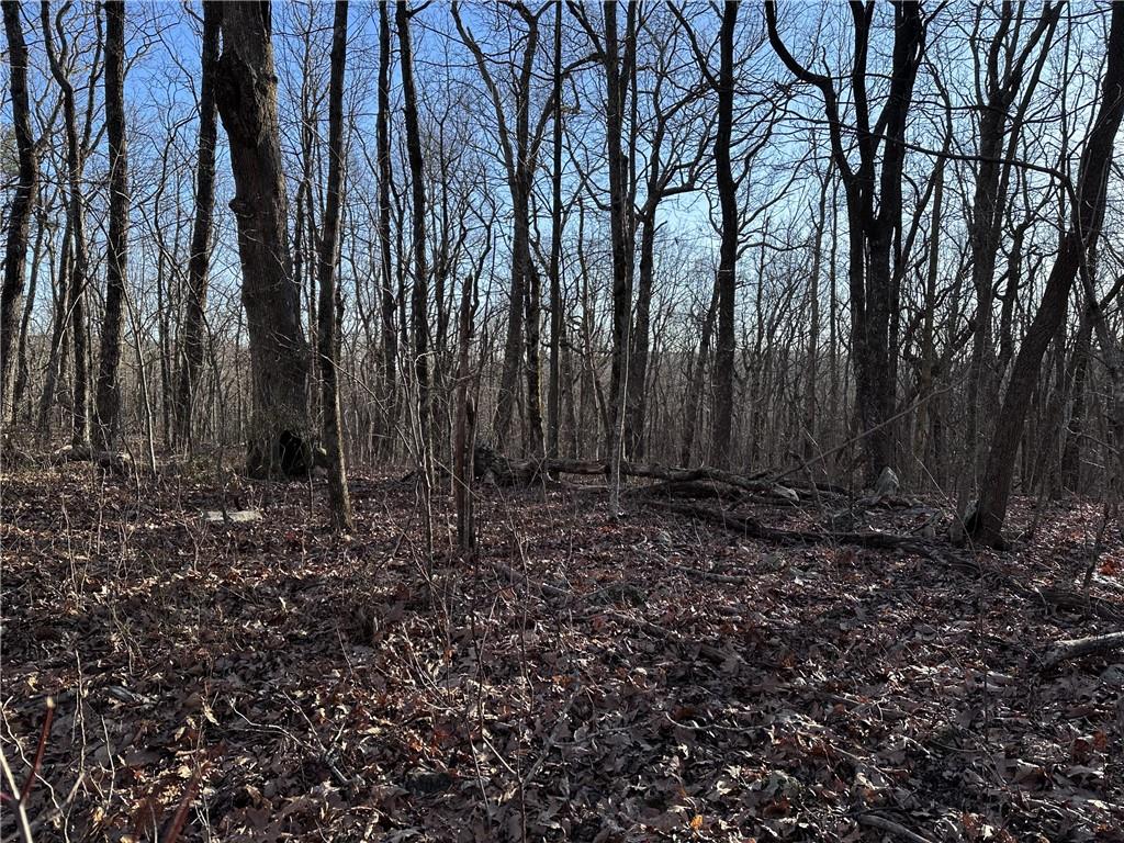 183 St. Andrews Way Ellijay, GA 30536 - Photo 10 of 21 a view of backyard with tree