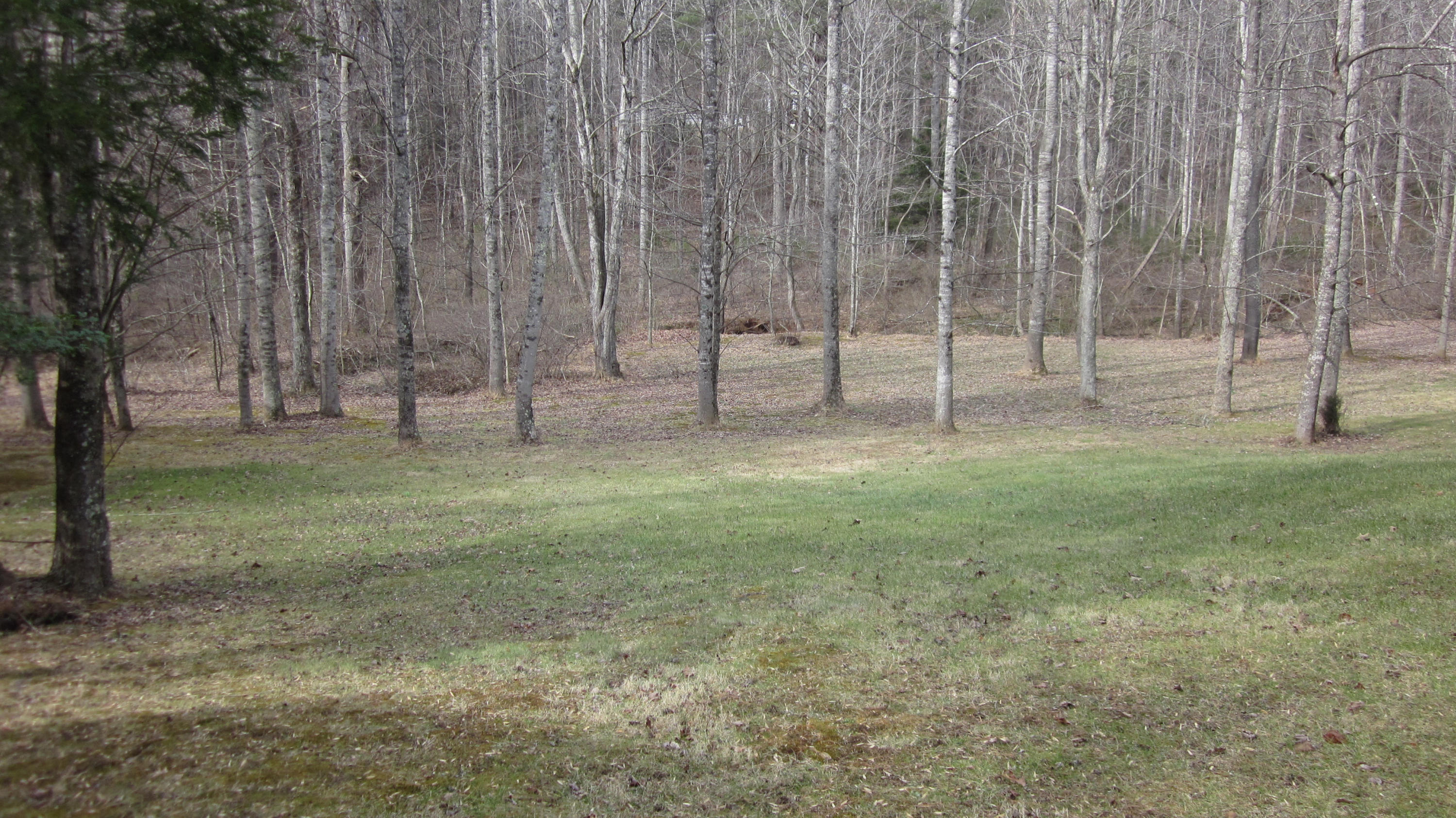 2070 Dugspur Road Callaway, VA 24067 - Photo 19 of 47 Backyard