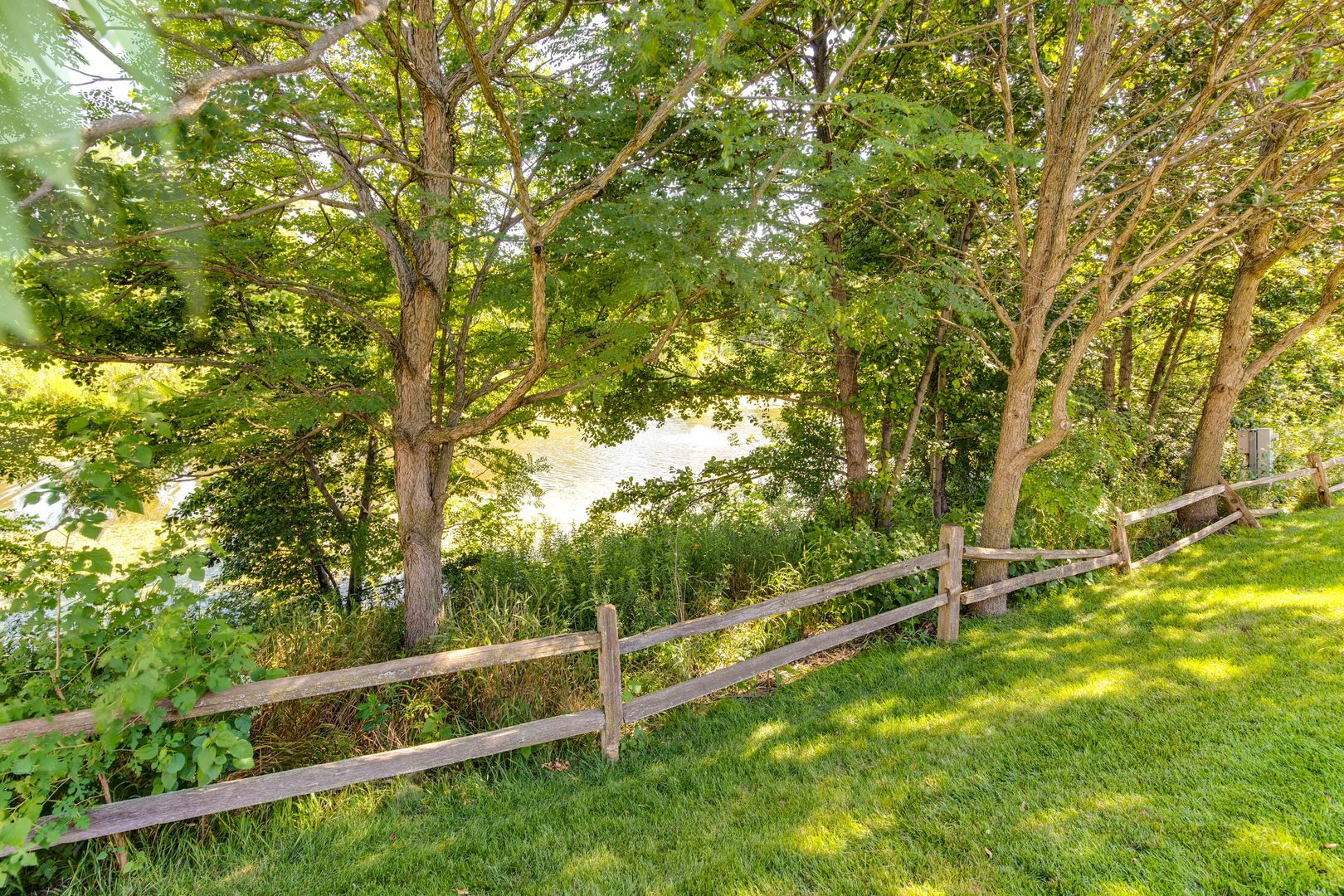 409 Wildflower Way Streamwood, IL 60107 - Photo 45 of 53 a view of an outdoor space with a tree