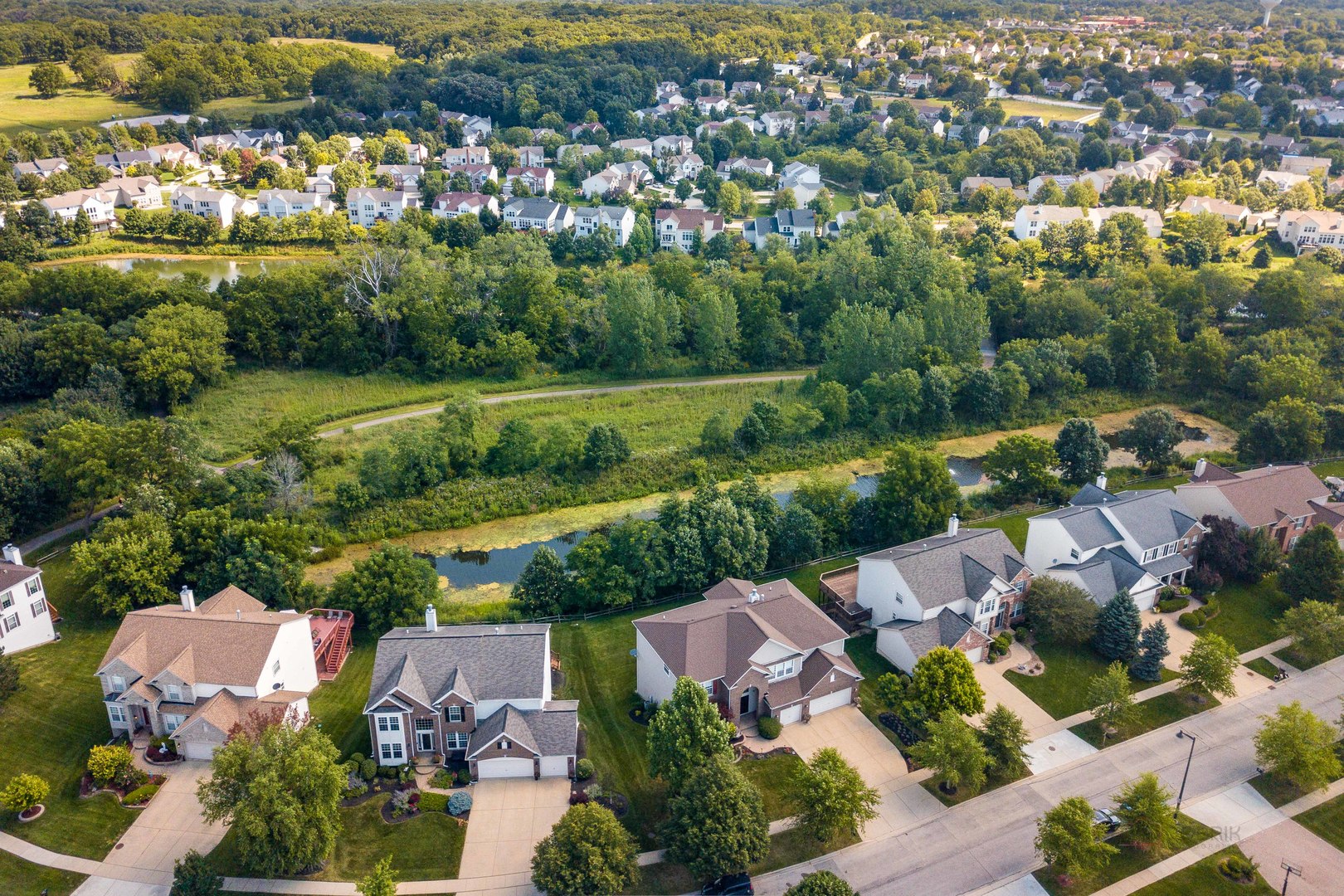 409 Wildflower Way Streamwood, IL 60107 - Photo 53 of 53 an aerial view of residential houses with outdoor space and trees