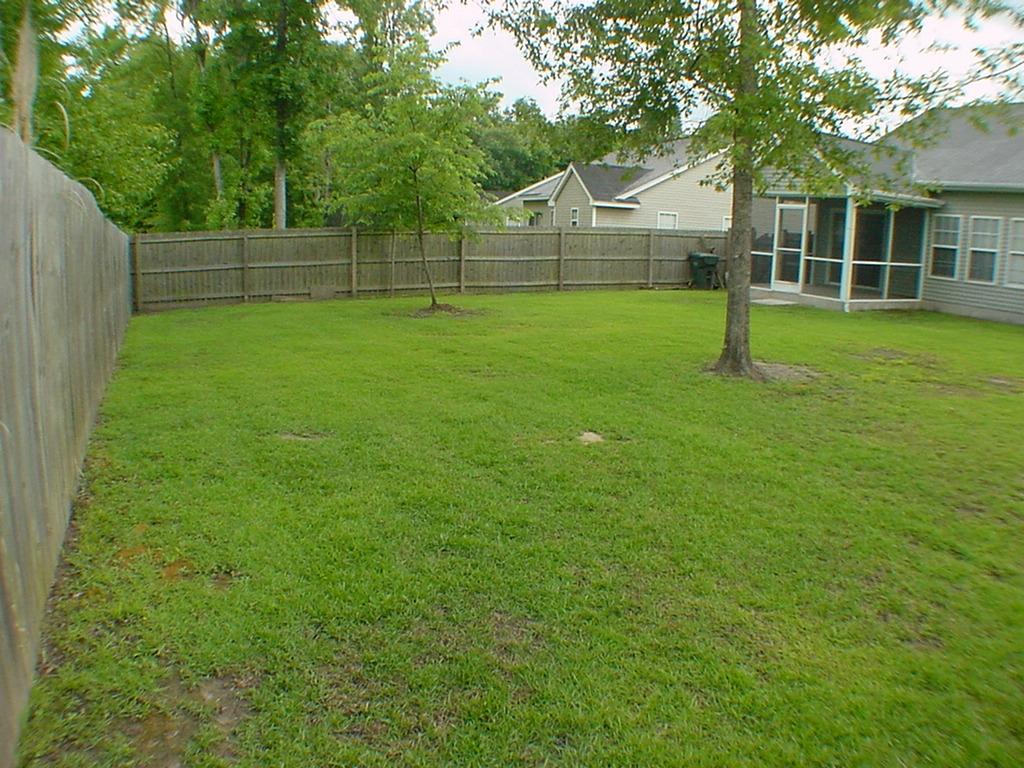 113 Old Tree Road Goose Creek, SC 29445 - Photo 4 of 15 DSC00109
