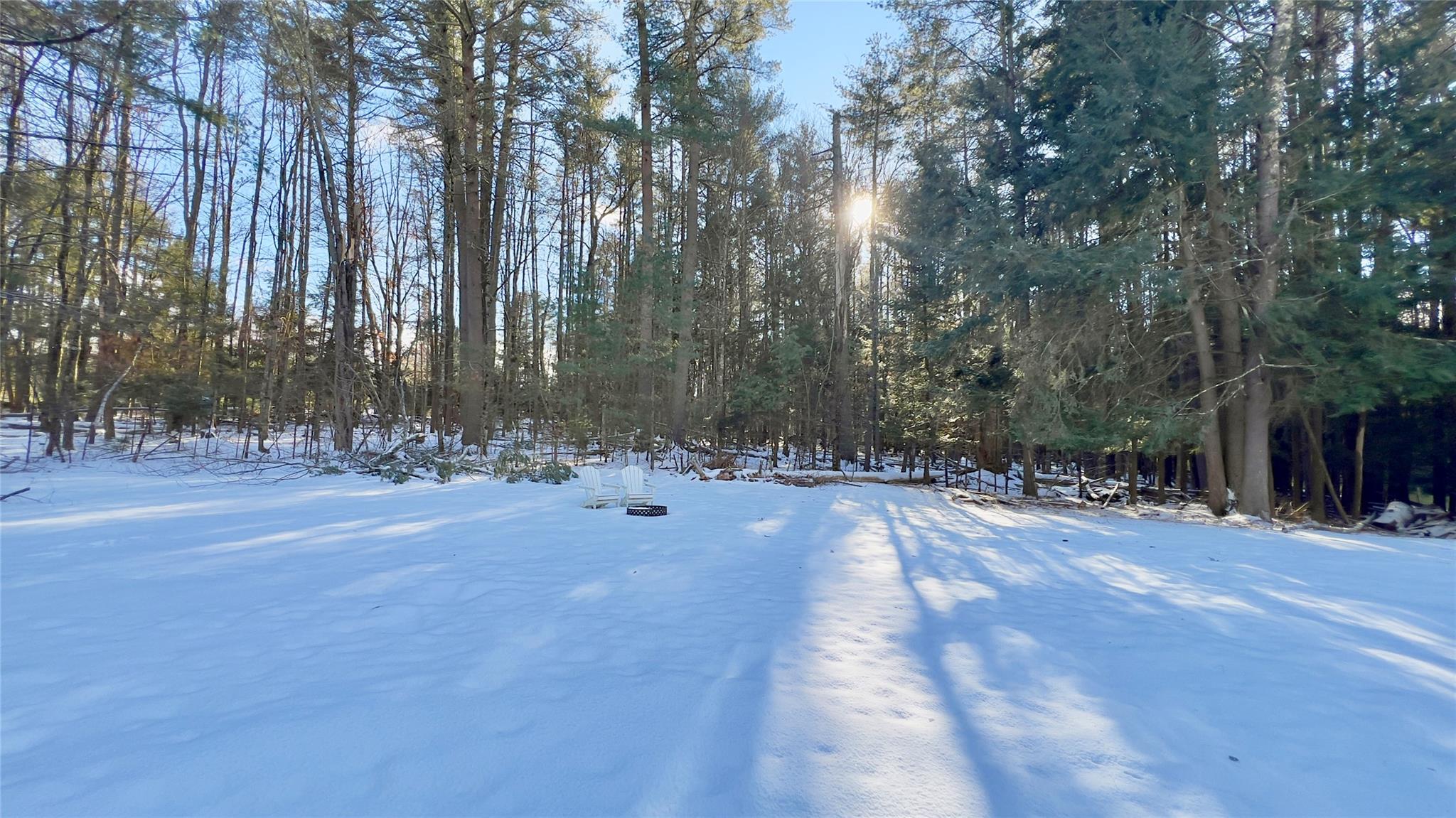 471 Horseshoe Lake Road Swan Lake, NY 12783 - Photo 28 of 39 a view of a tree with a yard