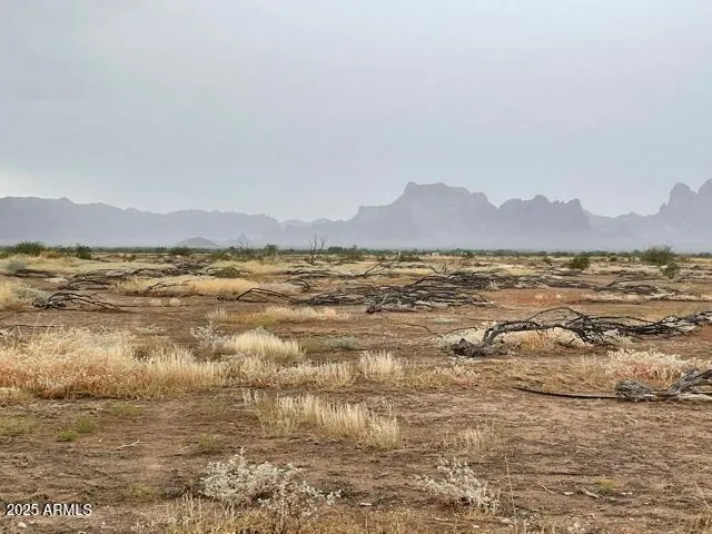 a view of an ocean and a mountain