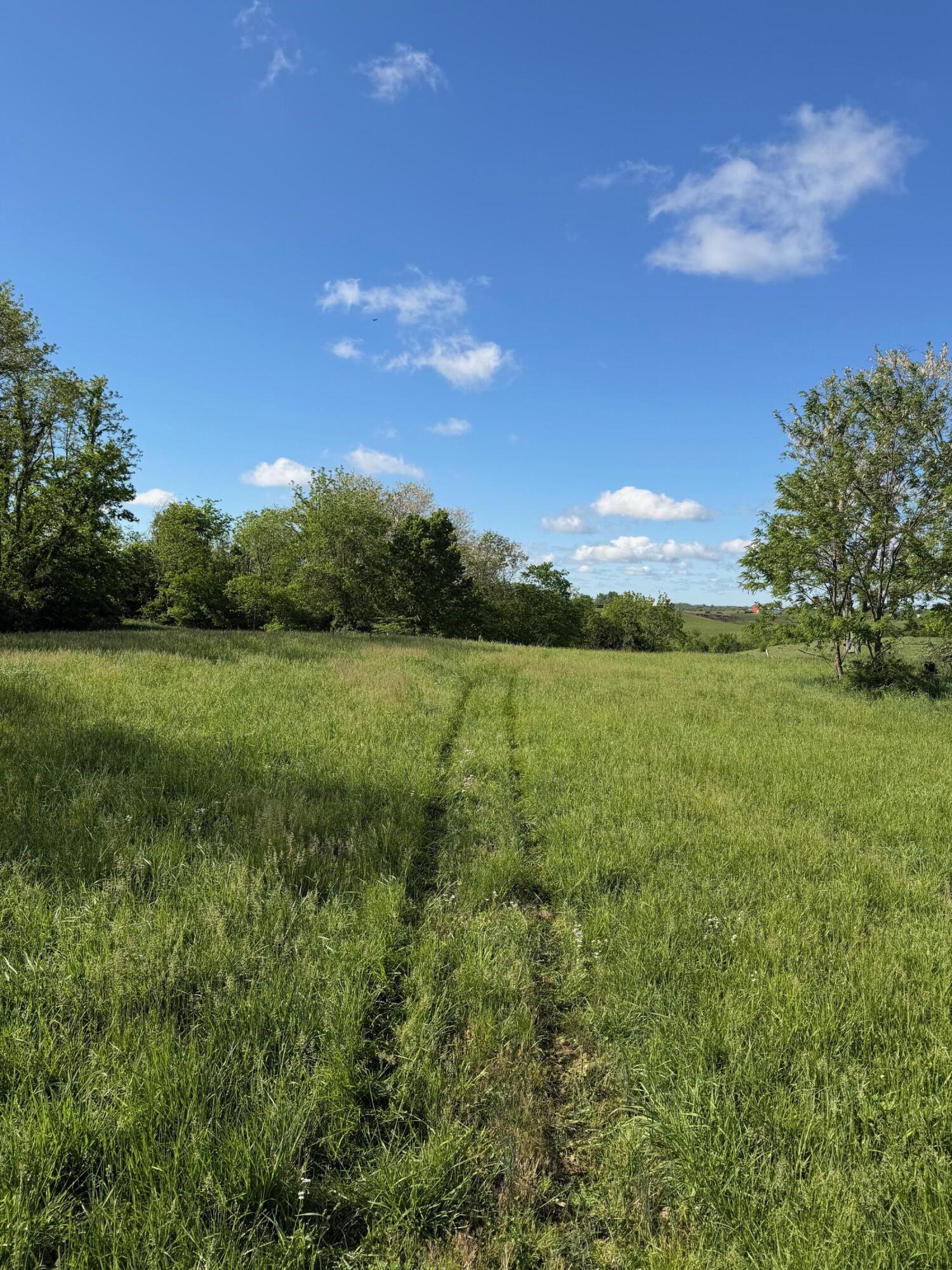11.19-ac Chipman Ridge Road Williamstown, KY 41097 - Photo 4 of 12