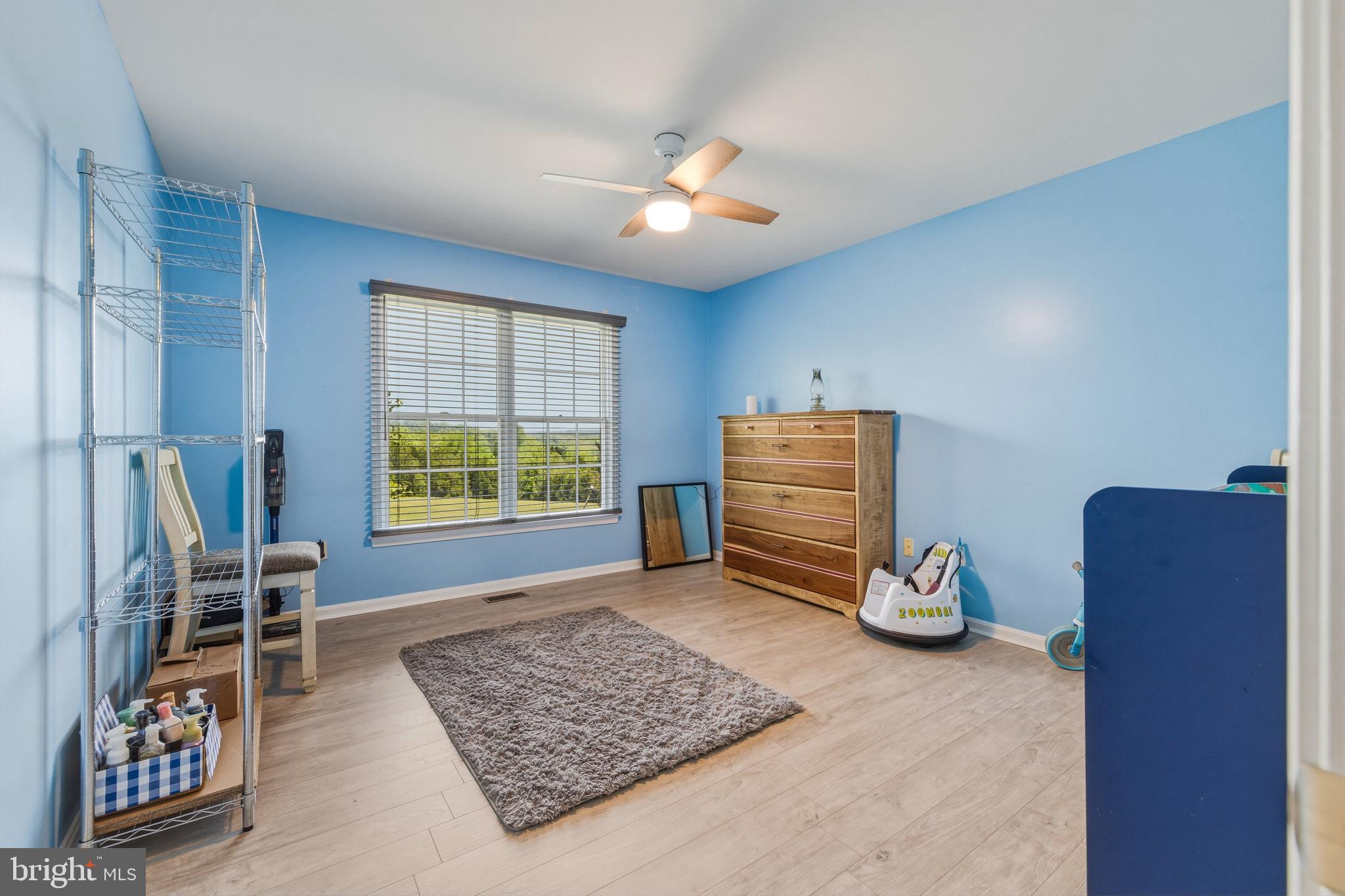 217 Silver Bell Lane Luray, VA 22835 - Photo 37 of 93