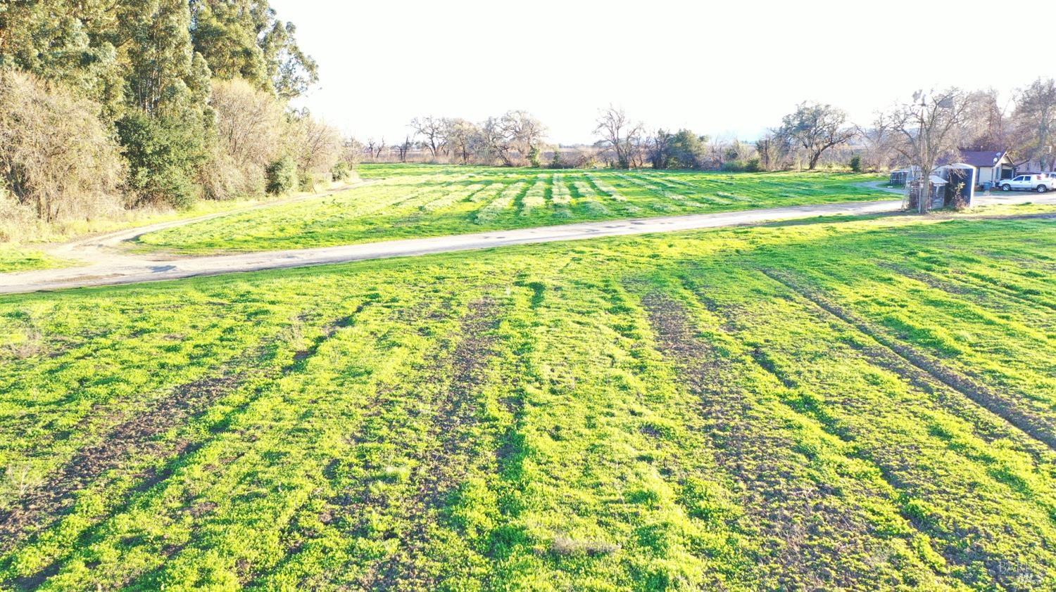 4683 Abernathy Road Fairfield, CA 94534 - Photo 13 of 44 a view of a field of grass and trees