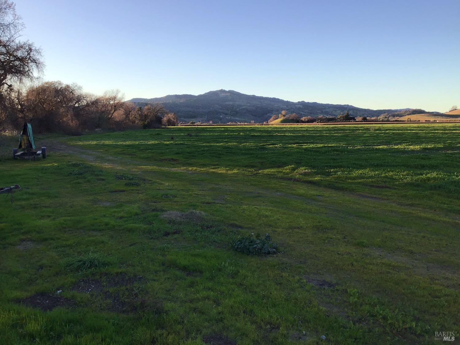 4683 Abernathy Road Fairfield, CA 94534 - Photo 23 of 44 a view of a grassy field with mountain