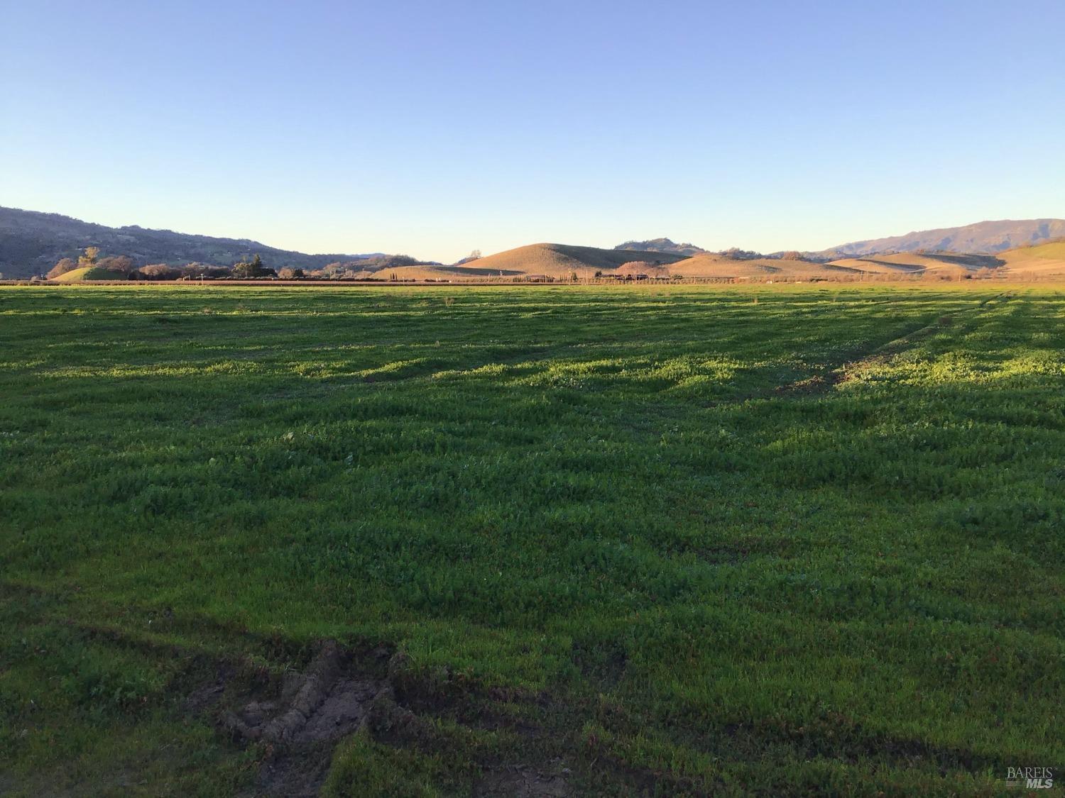 4683 Abernathy Road Fairfield, CA 94534 - Photo 25 of 44 a view of a lush green outdoor space with a mountain