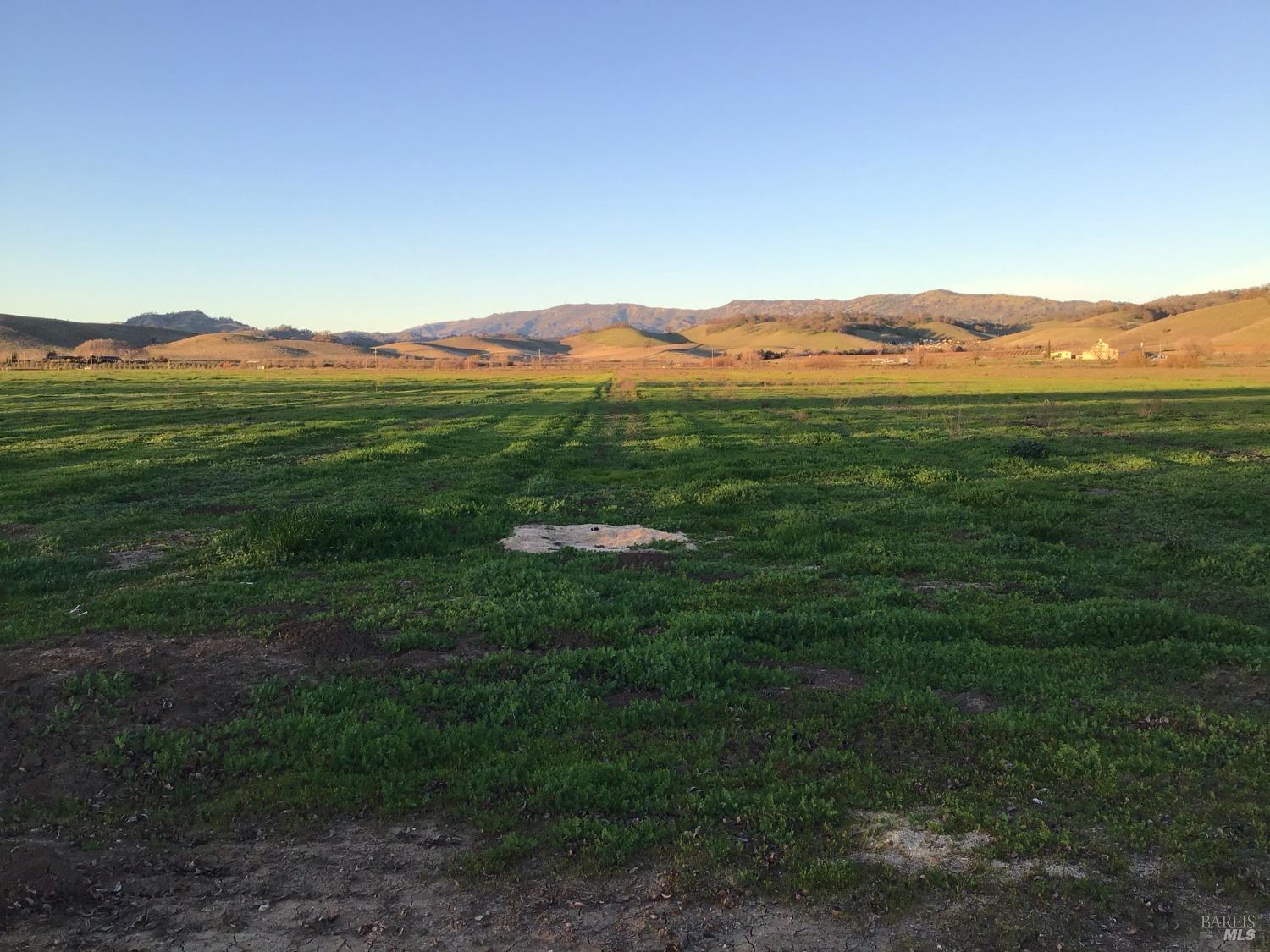 4683 Abernathy Road Fairfield, CA 94534 - Photo 28 of 44 a view of a lush green outdoor space with a lake view
