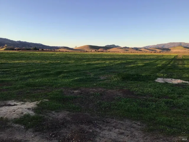 a view of a grassy field with mountains in the background