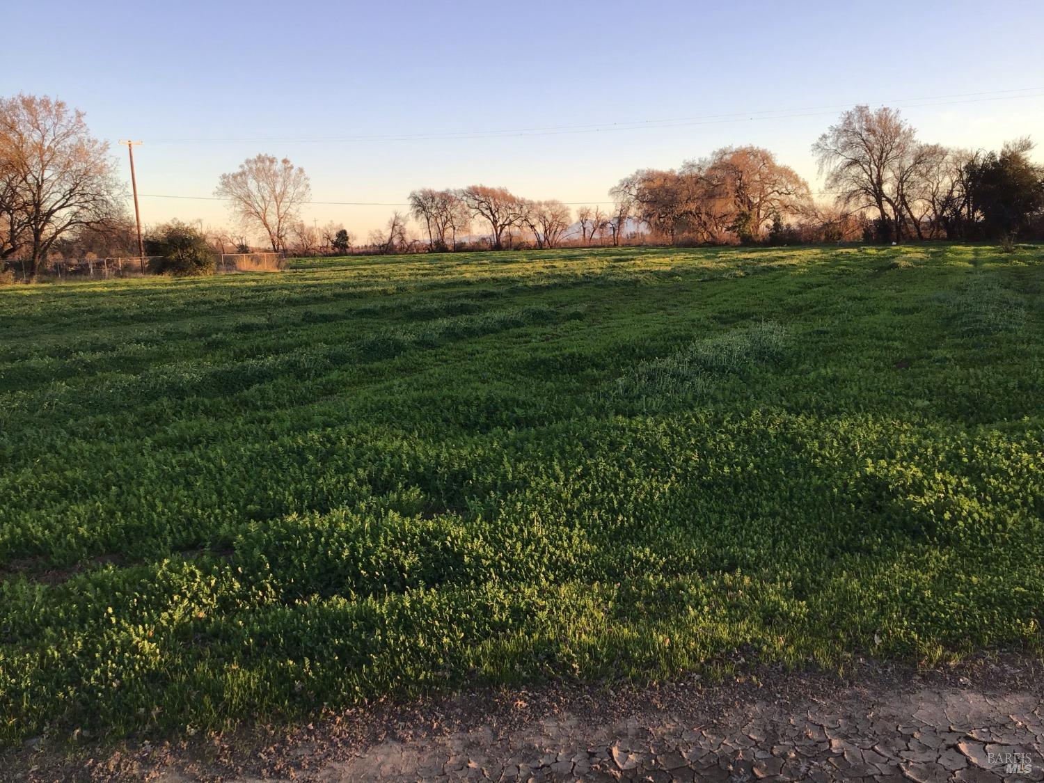 4683 Abernathy Road Fairfield, CA 94534 - Photo 30 of 44 a view of a grassy area with an trees
