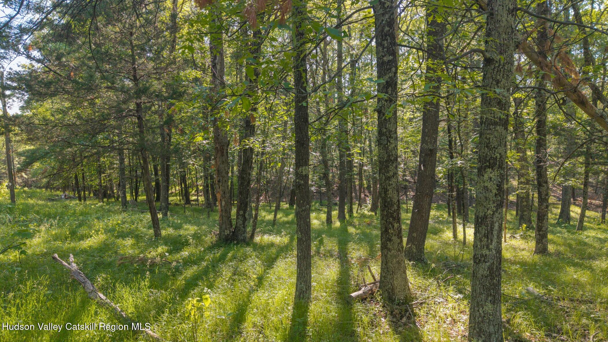 Tbd-1 Mt Airy Road Saugerties, NY 12477 - Photo 11 of 12 Land 4