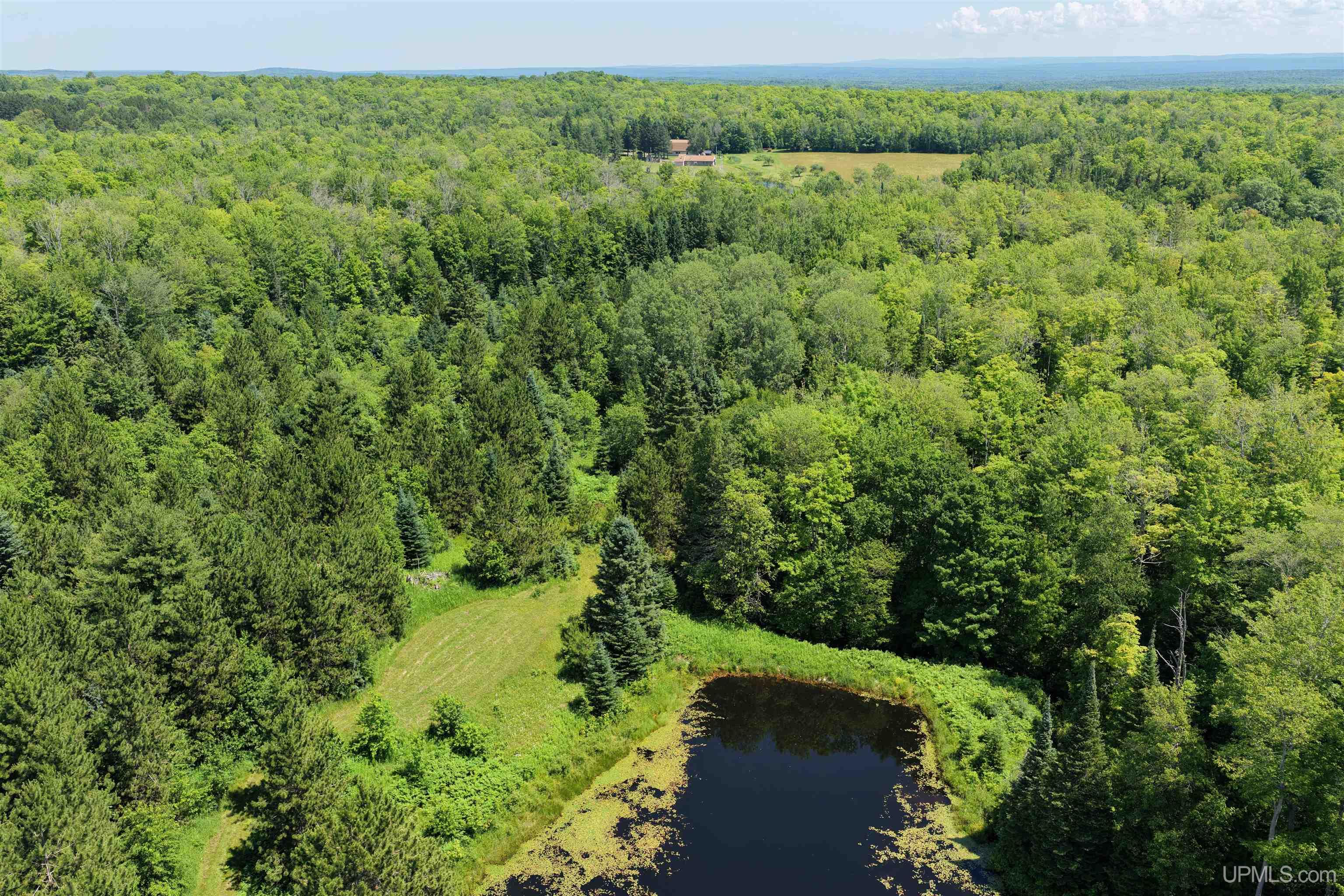 Tbd Peterson Road Nisula, MI 49952 - Photo 10 of 19 Gallery Image 10