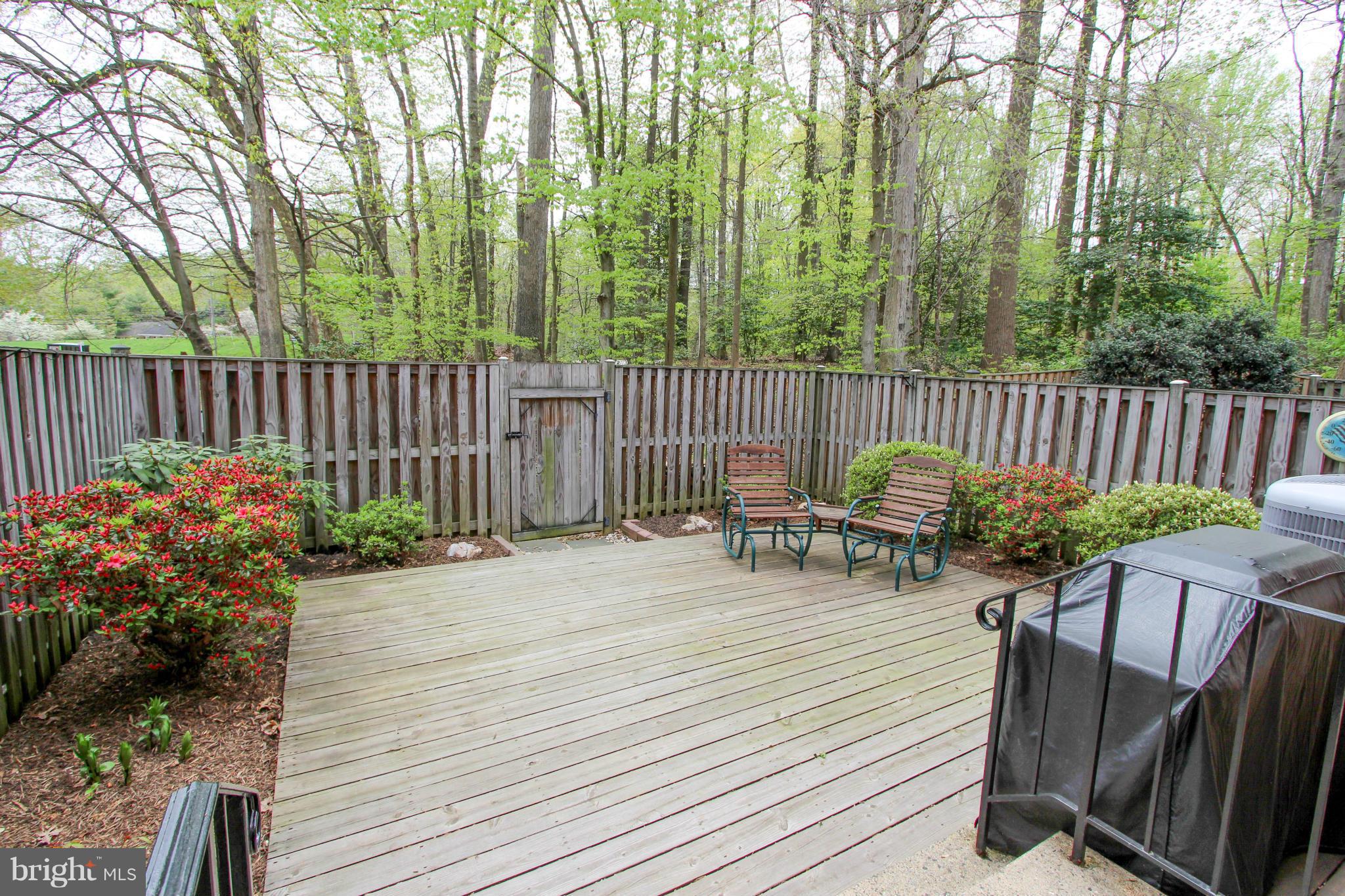 9023 Rosewall Court Springfield, VA 22152 - Photo 15 of 30 Exterior (Rear)