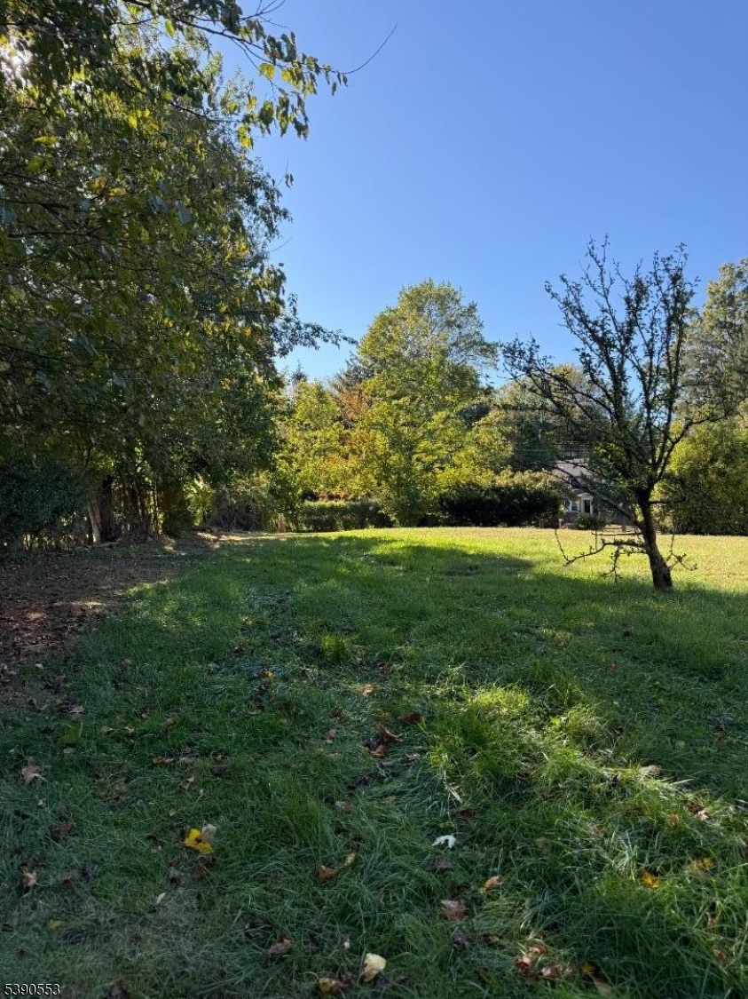 261 Orange Road Montclair, NJ 07042 - Photo 12 of 14 a view of yard with green space