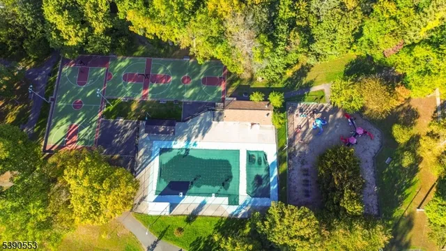 a view of statue in a garden