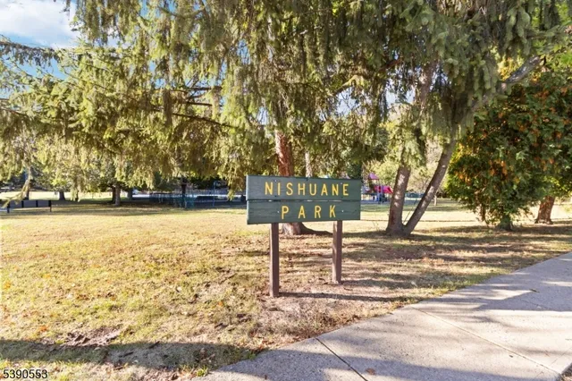 a view of a yard with plants