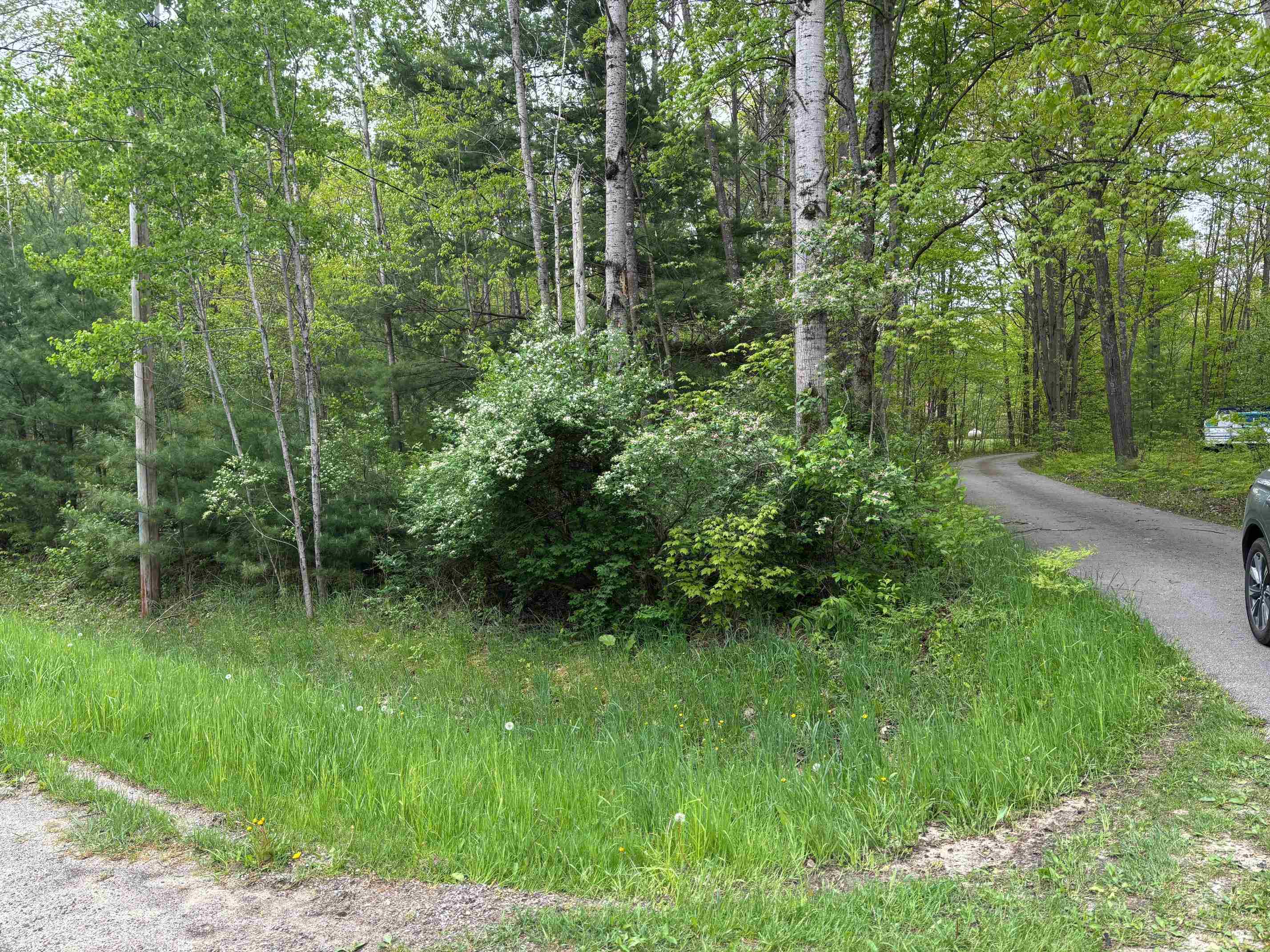 2913 West Howard Road Beaverton, MI 48612 - Photo 83 of 84