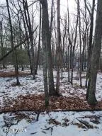 $12,000 | 897 Pico Lane, Tafton, PA 18464