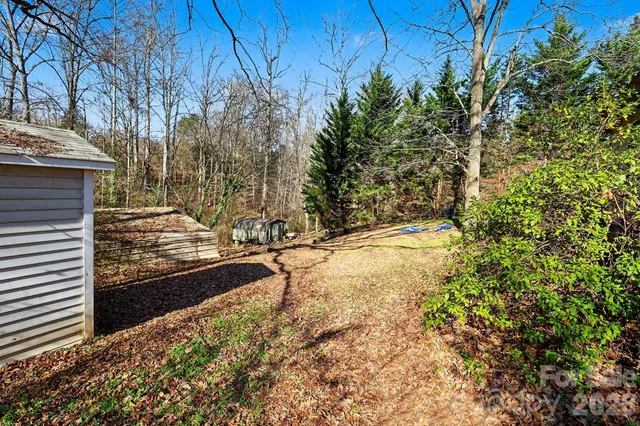 a view of a yard with trees