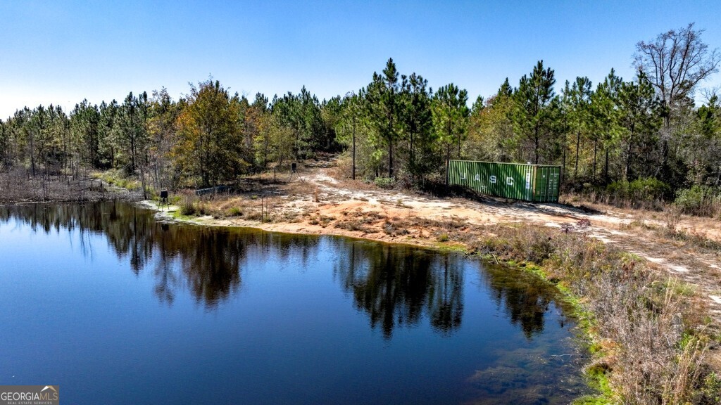 0 Morton Road Dublin, GA 31021 - Photo 29 of 38