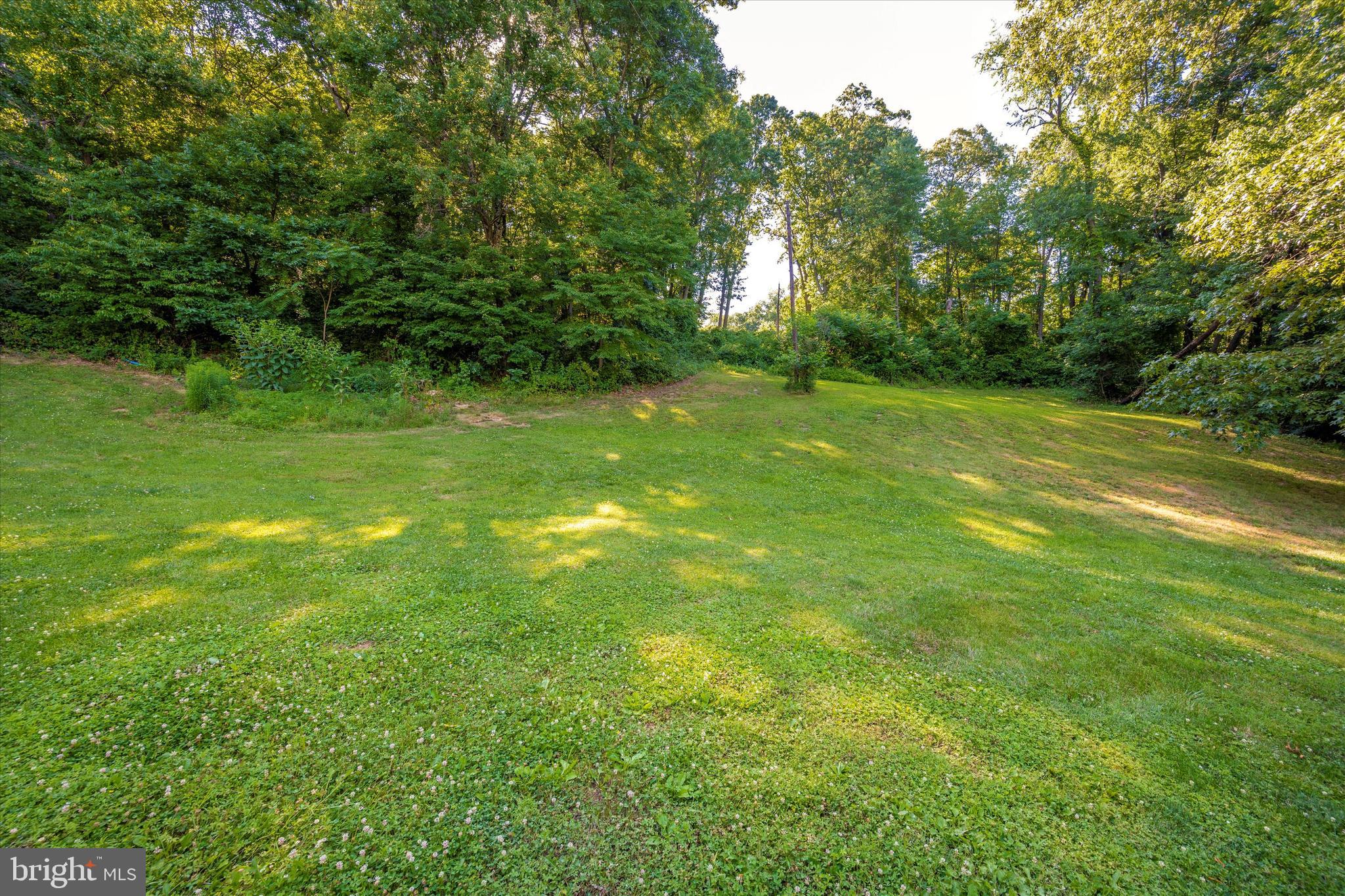 13218 Blairs Valley Road Clear Spring, MD 21722 - Photo 40 of 45 PRIVATE backyard