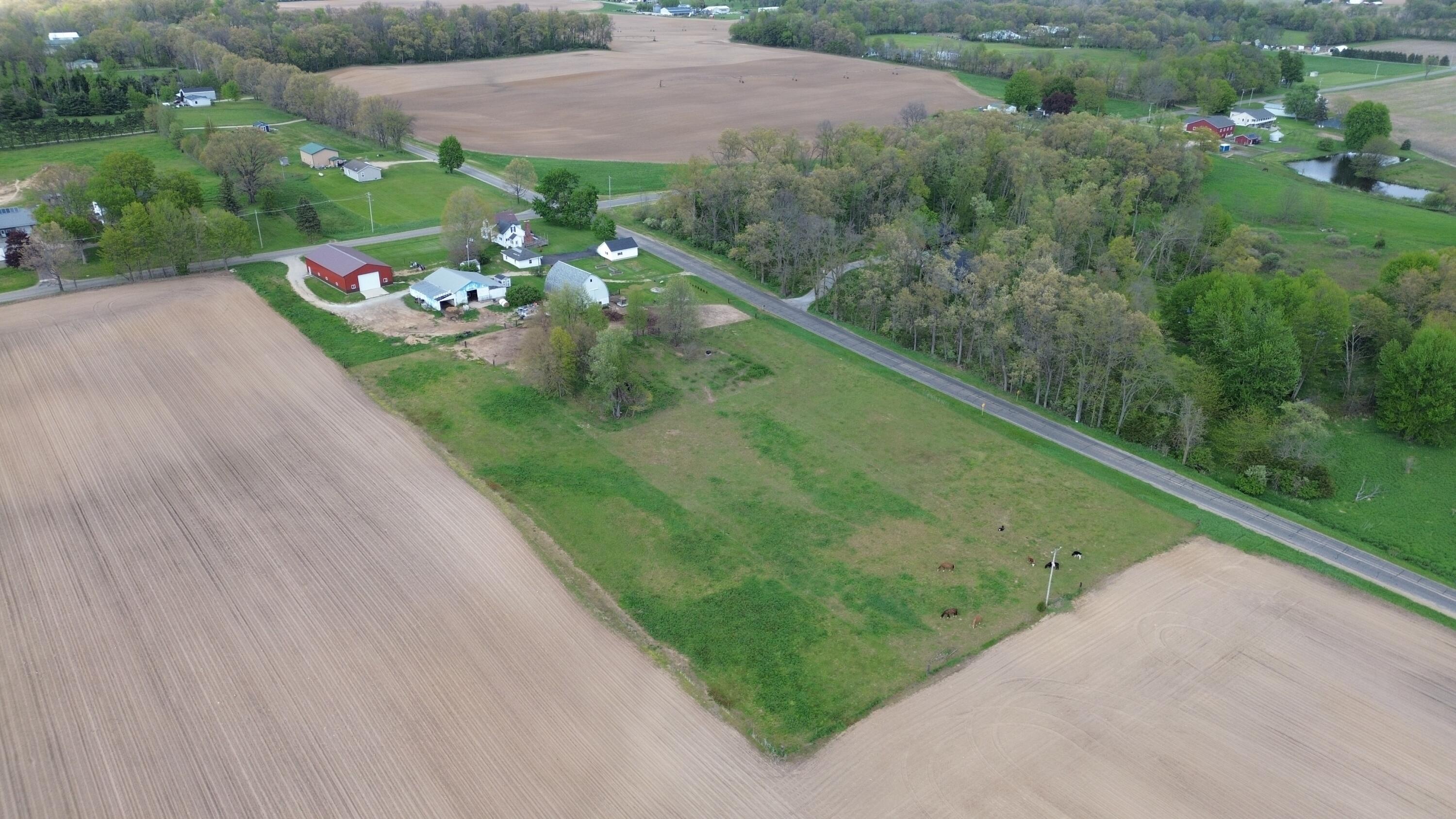 29985 Maystead Road Burr Oak, MI 49030 - Photo 4 of 20 003