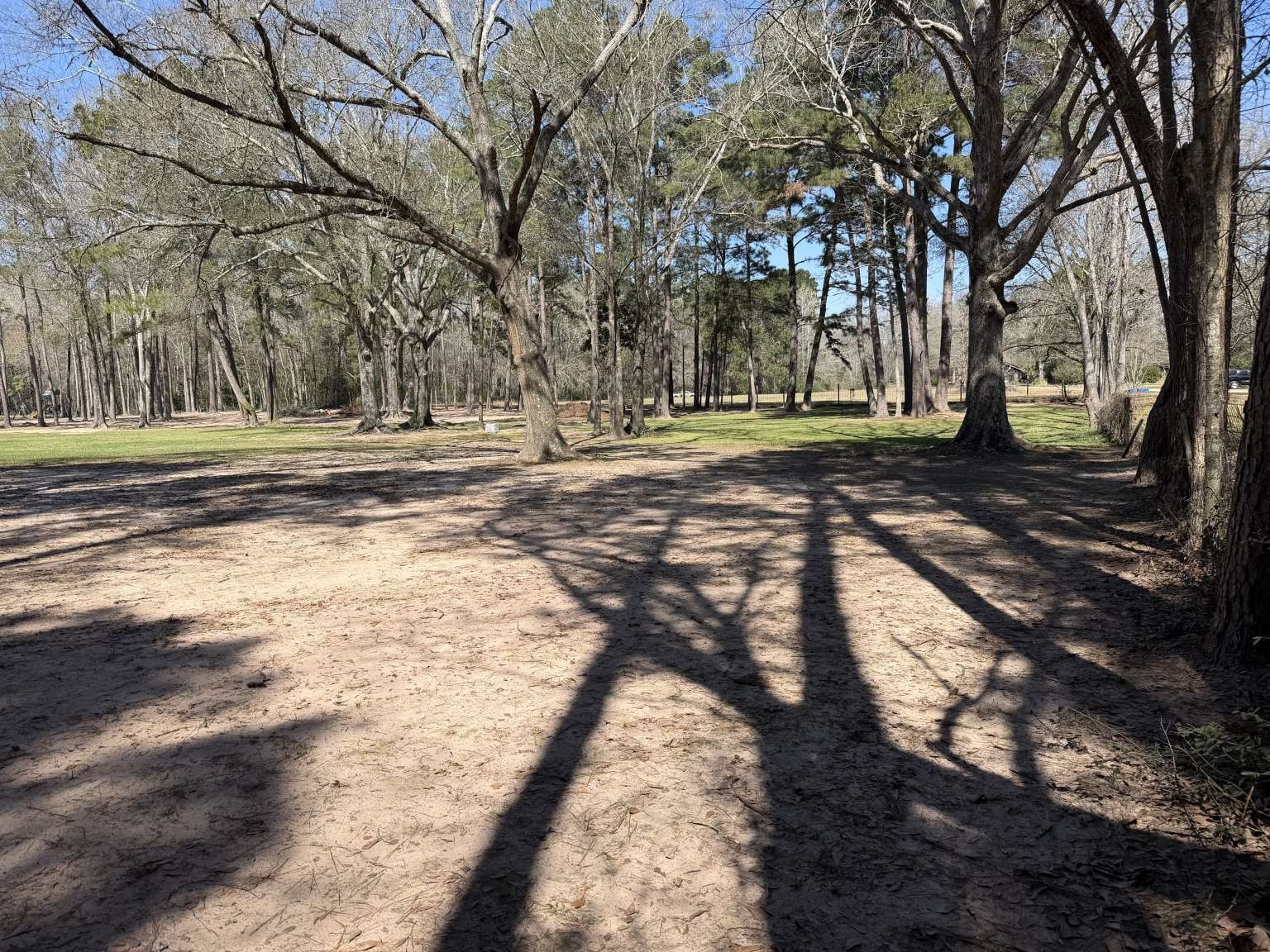 1166 County Road 3663 Splendora, TX 77372 - Photo 7 of 19