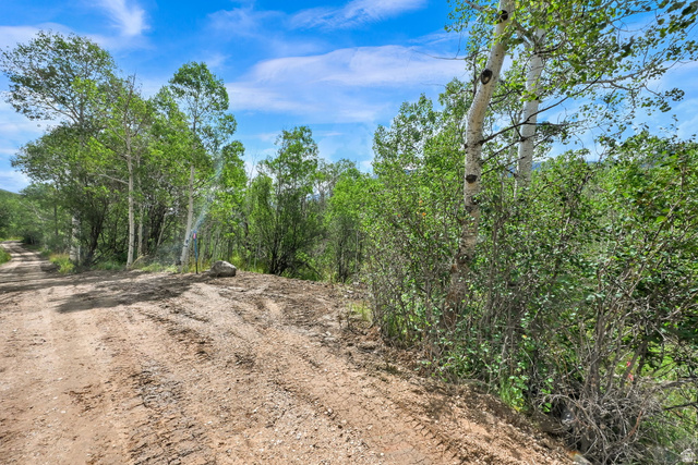 5426 East Colter Road, Unit 33 Kamas, UT 84036 - Photo 27 of 45 Dirt path bordered by natural vegetation and mature trees, featuring light-colored tree trunks and lush green foliage