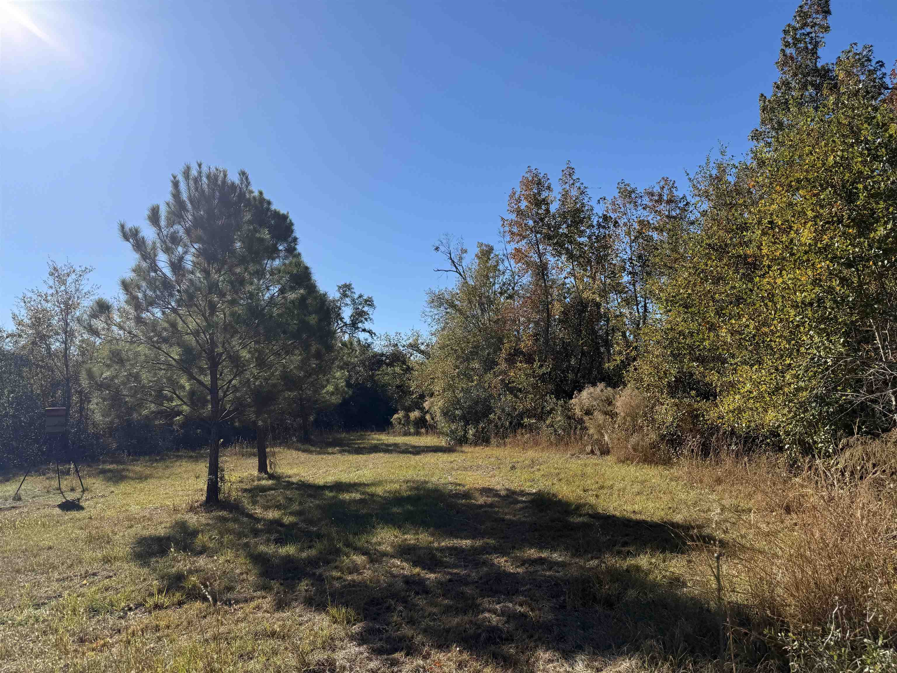 651 Northwest Flowers Road Madison, FL 32340 - Photo 13 of 20
