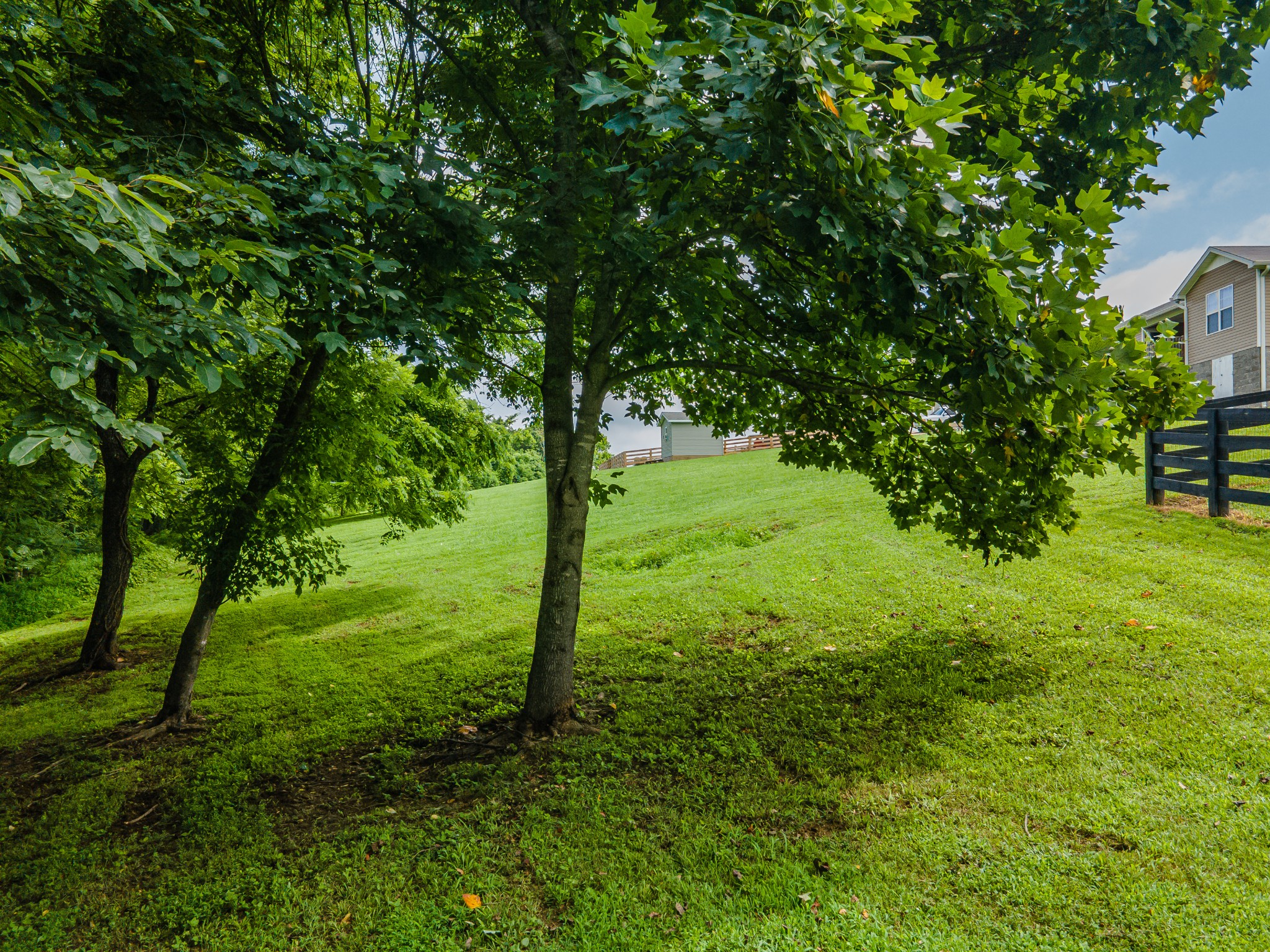 216 Desperado Avenue Pulaski, TN 38478 - Photo 57 of 76