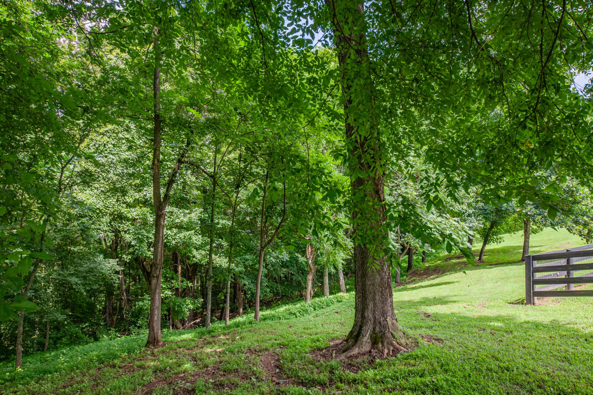 216 Desperado Avenue Pulaski, TN 38478 - Photo 73 of 76