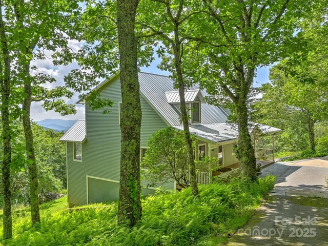 a view of a garden with plants