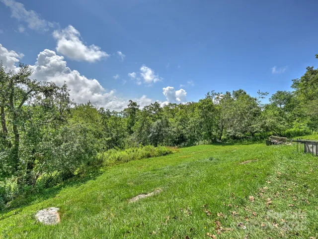 a view of a big yard with plants and large trees