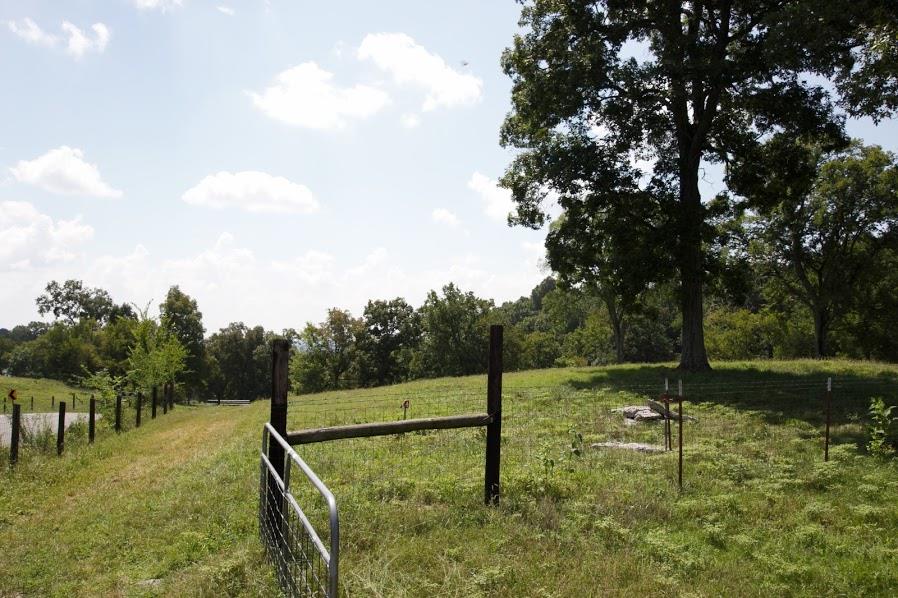 1946 Ford Road Lebanon, TN 37087 - Photo 11 of 18