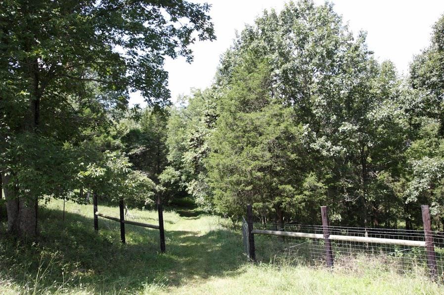 1946 Ford Road Lebanon, TN 37087 - Photo 13 of 18