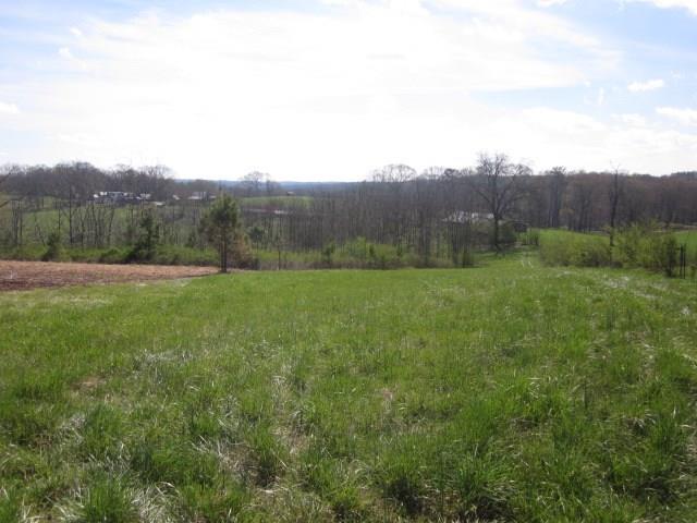 0 Upper Dowda Mill Road Jasper, GA 30143 - Photo 1 of 1 Horses, cattle, goats and all types of livestock welcome here.