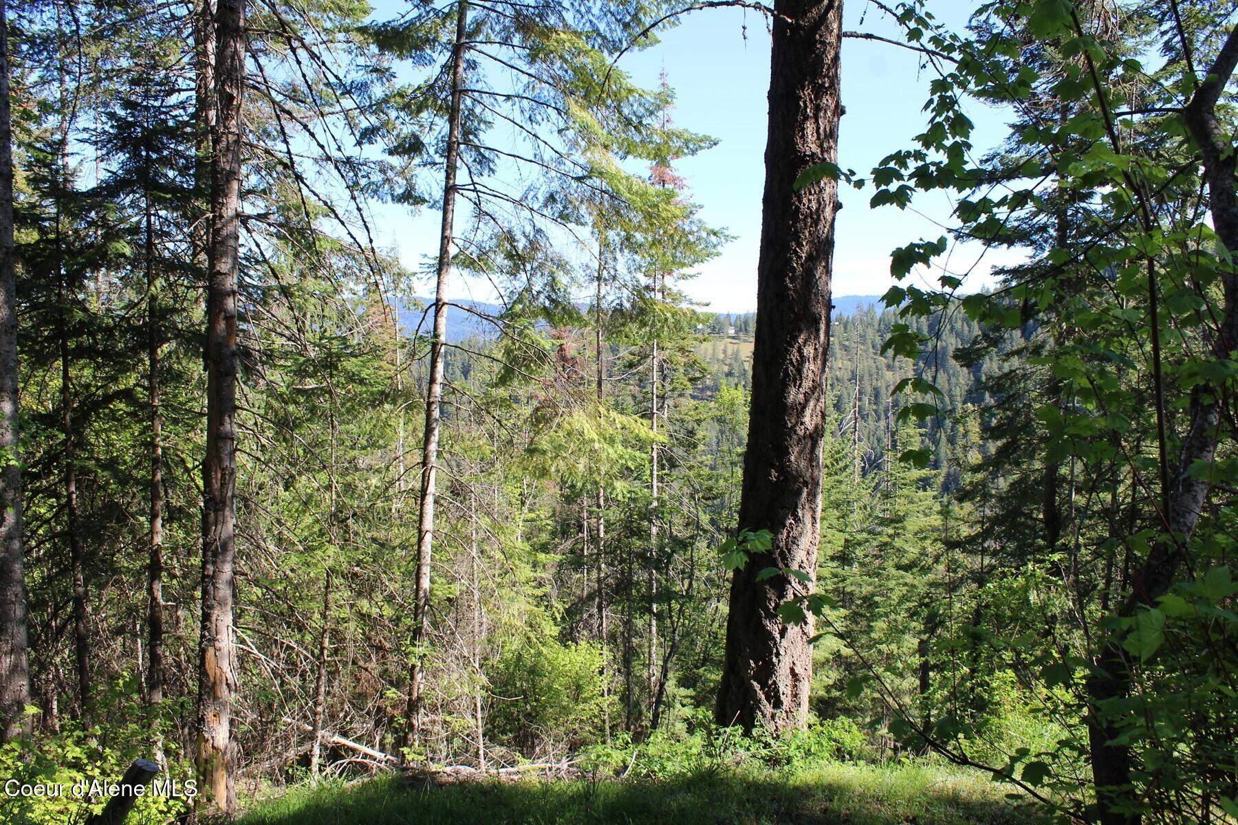 881-2714 South Allen Road Coeur D'Alene, ID 83814 - Photo 48 of 54 Haven Northside Forest