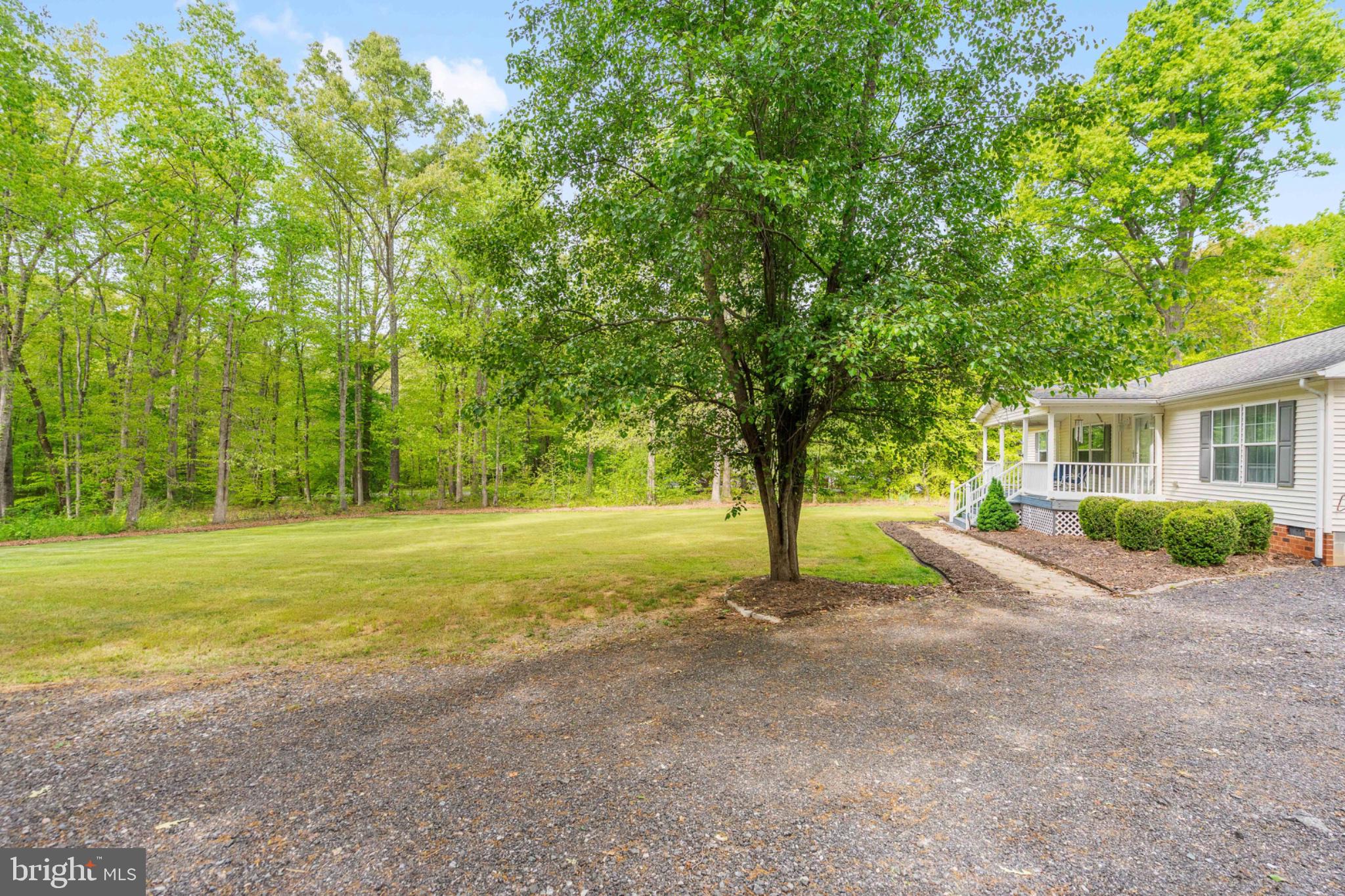 2319 Sizer Road Beaverdam, VA 23015 - Photo 55 of 61 a view of a house with backyard and trees