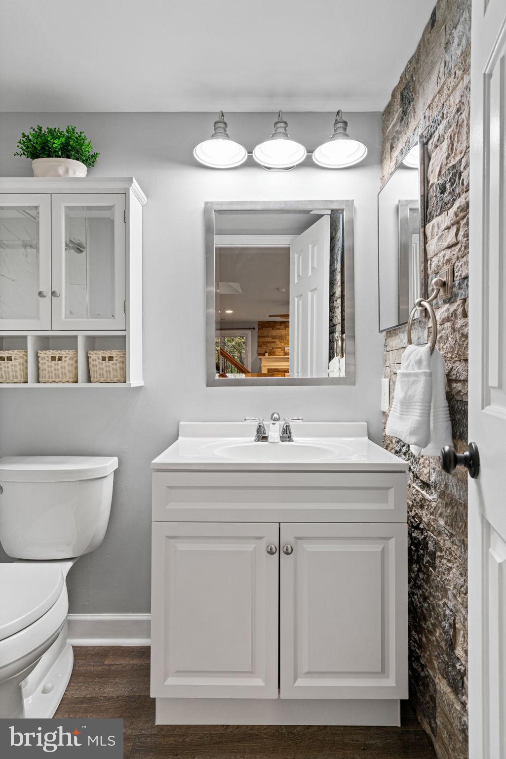 8852 Eagle Rock Lane Springfield, VA 22153 - Photo 39 of 61 a bathroom with a sink a toilet and mirror