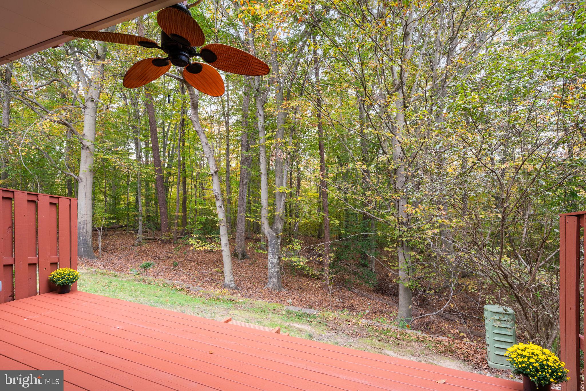 8852 Eagle Rock Lane Springfield, VA 22153 - Photo 50 of 61 Backs to woods