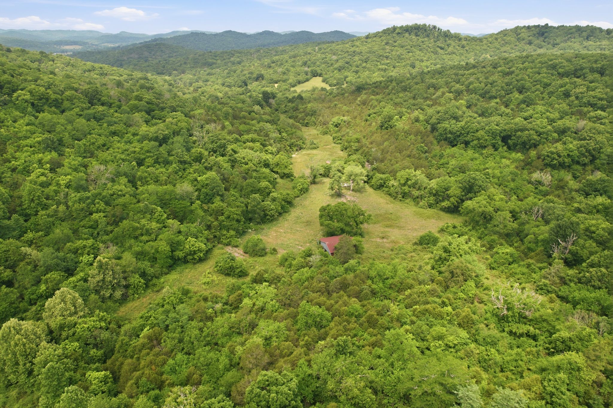 1780 Chumley Hollow Road Watertown, TN 37184 - Photo 13 of 14 a view of a lush green hillside and houses