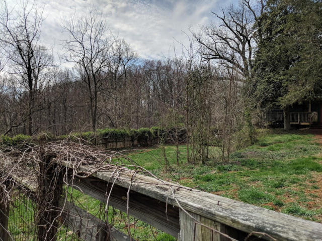 2902 Riverview Road Roanoke, VA 24014 - Photo 15 of 15 a view of outdoor space and yard