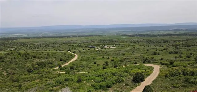 a view of a green field with lots of bushes