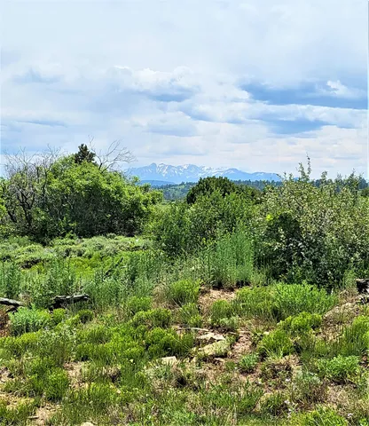 a view of yard with green space
