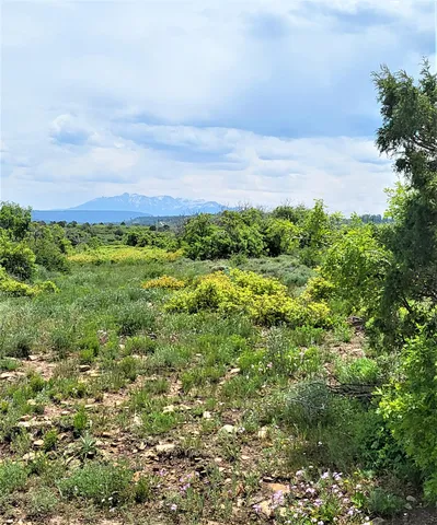 a view of a pathway both side of yard