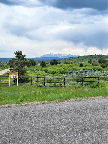 a view of a big yard with potted plants and large trees